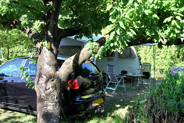 0008 camping l Hippocampe.jpg